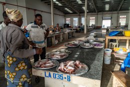 Accra;-Ghana;-Jamestown;-fish-market;-hall;-large-fish;-sea-bream;-red-snapper;-sparse-catch;-stalls;-granite;-new-harbour;-Sino-Ghanaian-cooperation;-artisanal-fishing;-Gulf-of-Guinea;-economy;-West-Africa;-historic-district;-documentary-photography;-Kaleidos;-Kaleidos-images;-La-parole-à-limage;-Stories-Pictures;-Tarek-Charara